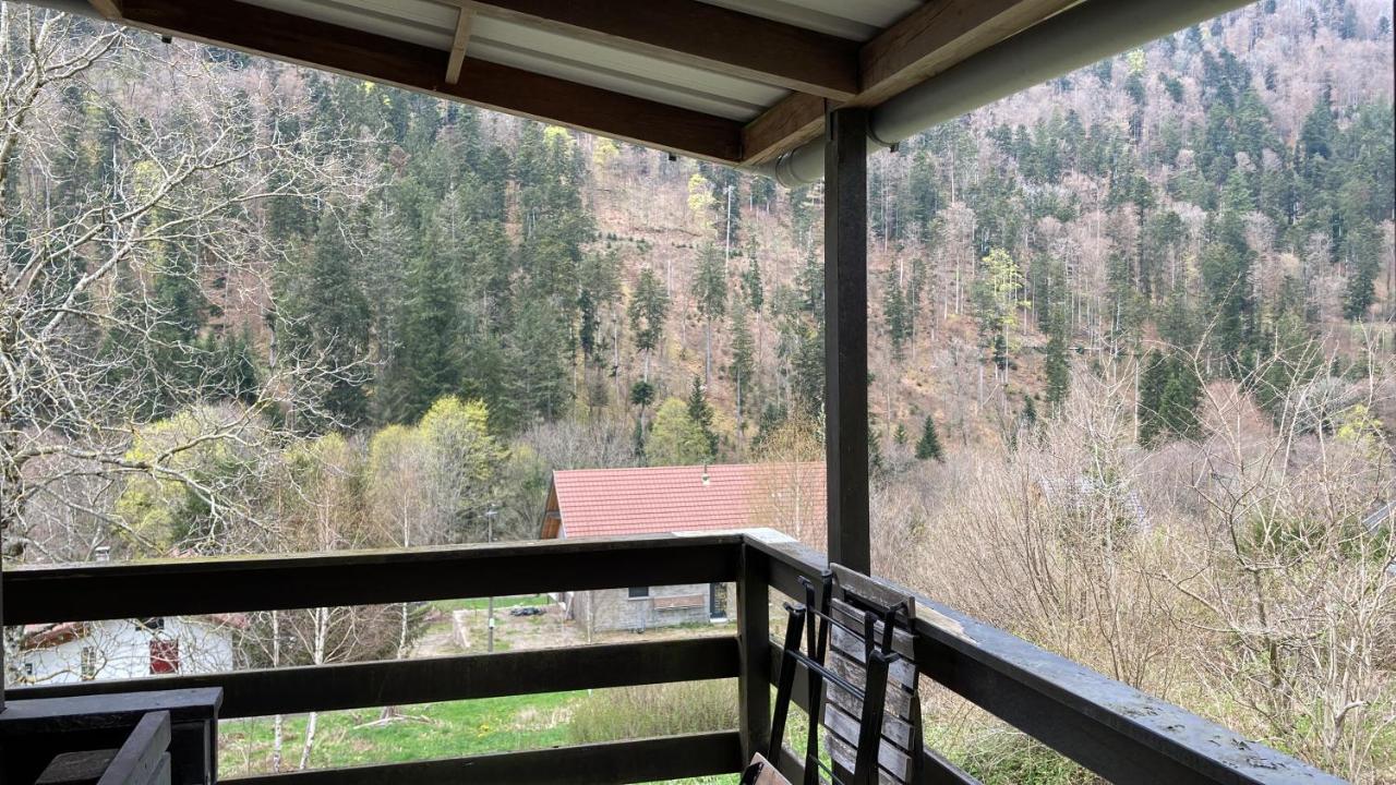Le Chalet Du Coeur Mittlach Exteriér fotografie