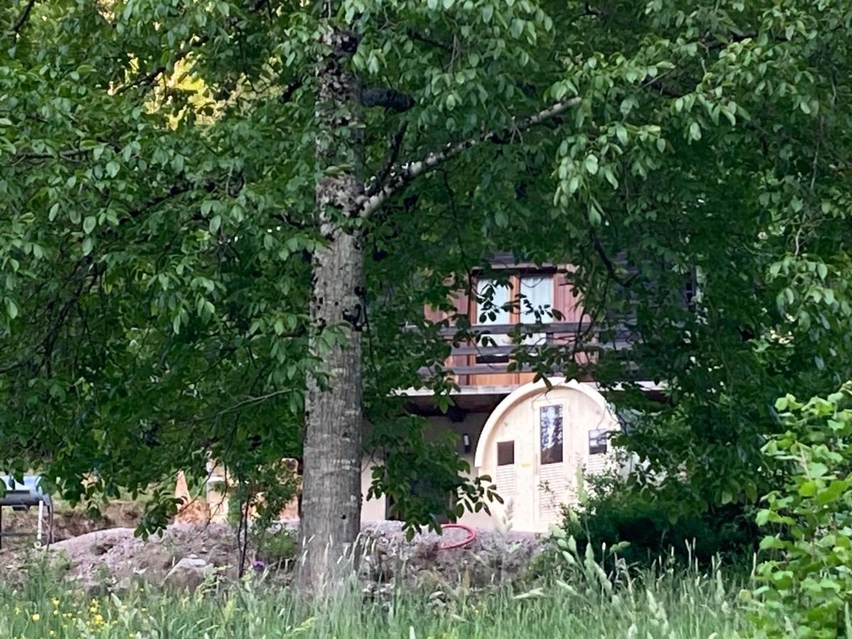 Le Chalet Du Coeur Mittlach Exteriér fotografie