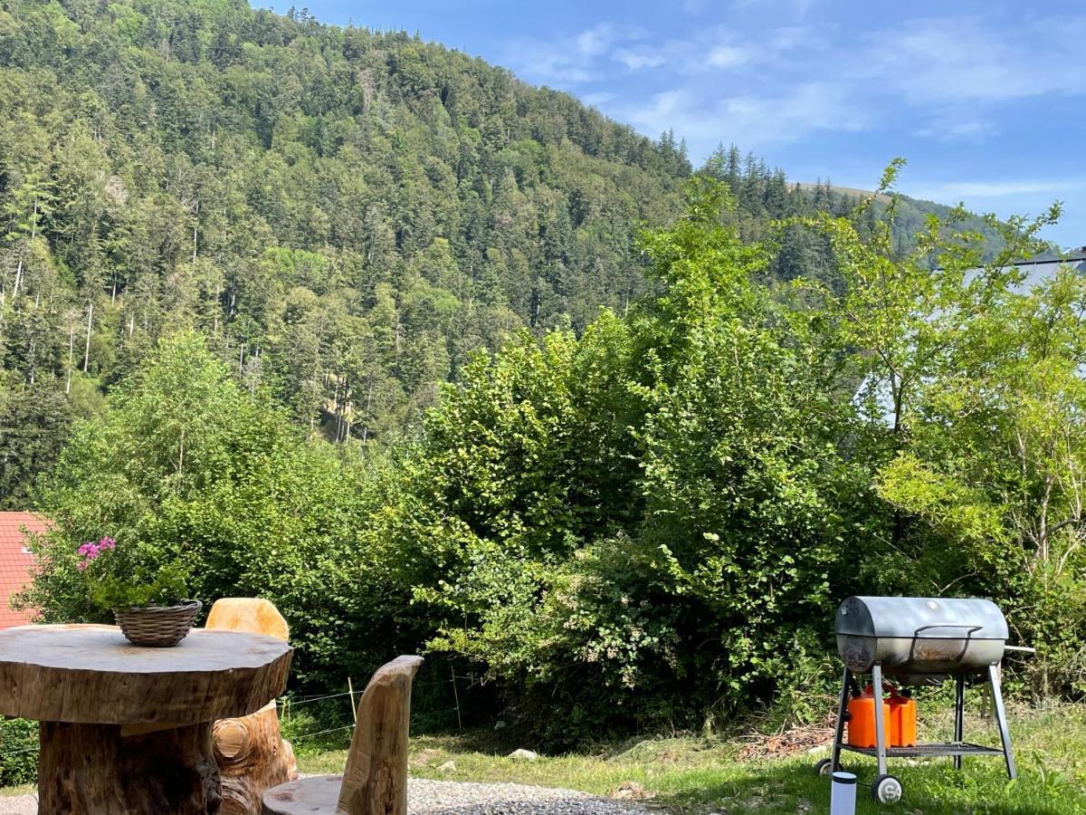 Le Chalet Du Coeur Mittlach Exteriér fotografie