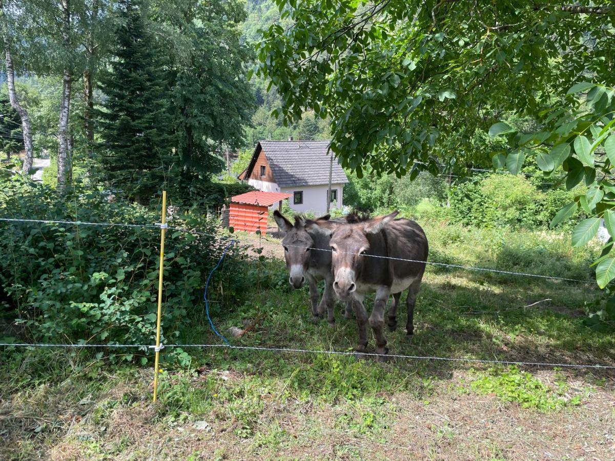 Le Chalet Du Coeur Mittlach Exteriér fotografie